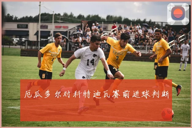 厄瓜多尔对科特迪瓦赛前进球判断