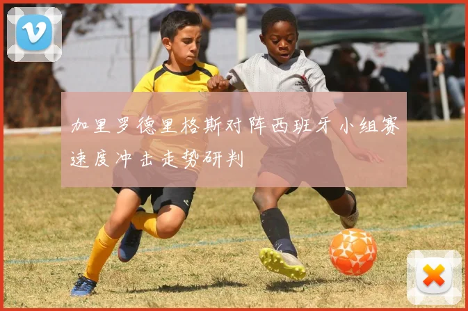加里罗德里格斯对阵西班牙小组赛速度冲击走势研判