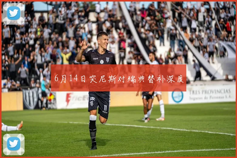 6月14日突尼斯对瑞典替补深度